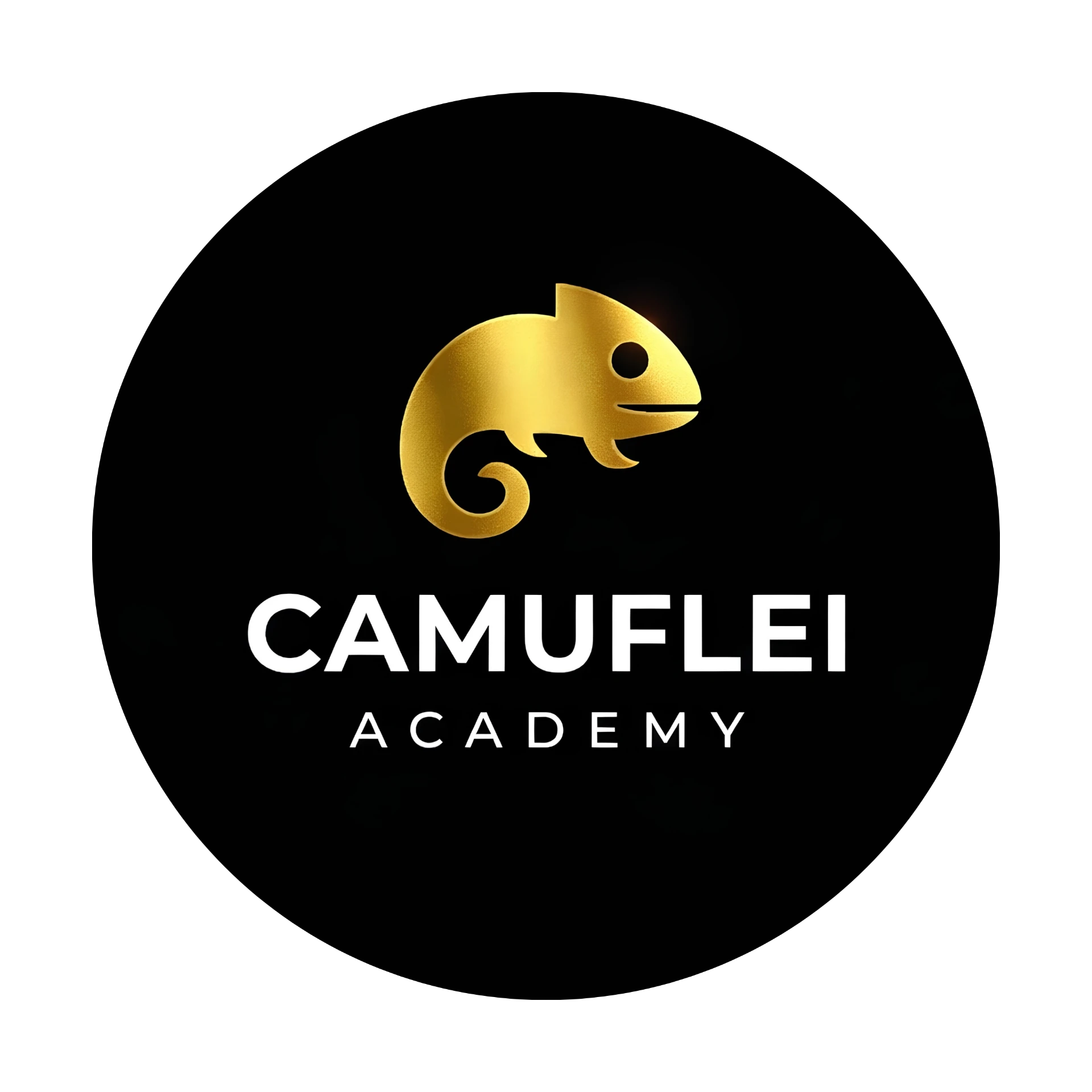 Camuflei Academy